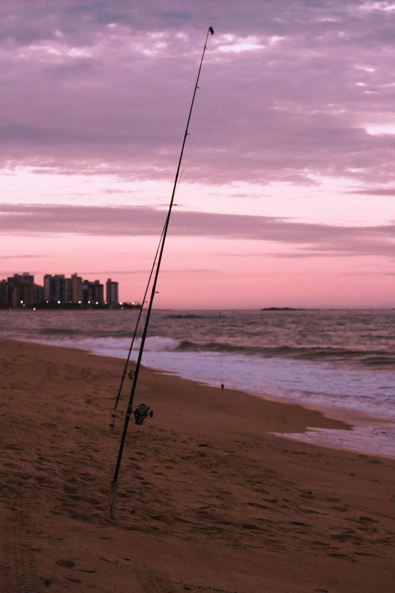 季節の釣り人指導のためのビーチフロントキャスティングワークフロー